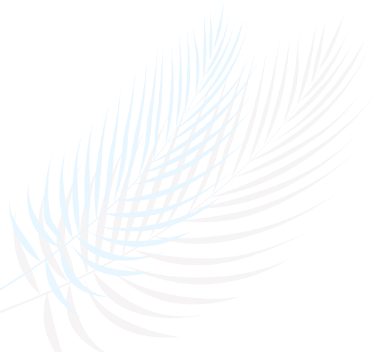 cover-img
